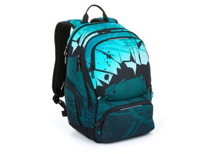 1586 roth 24035 amfsu