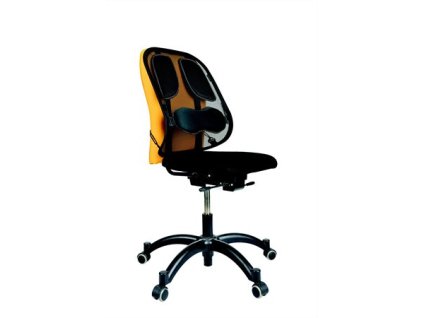 IFW80299