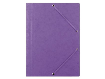 Prešpánový obal s gumičkou DONAU fialový