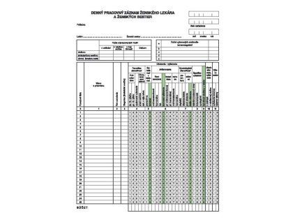 255640 denny pracovny zaznam zenskeho lekara a4