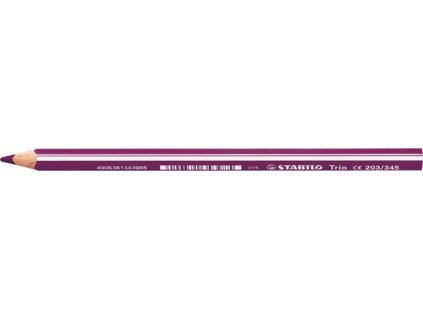 TST203C