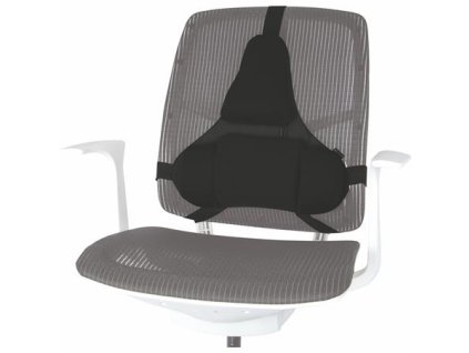 IFW80376