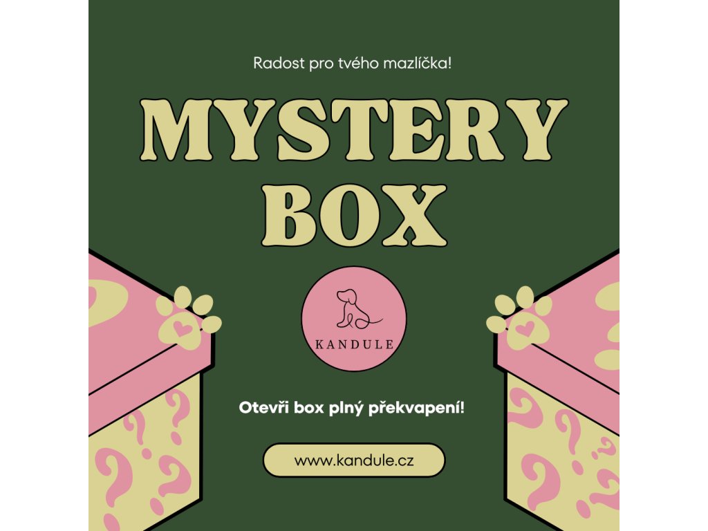 Green Beige Pink Illustrated Mystery Box Instagram Post 2