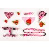 Postroj pro psy Max & Molly - Strawberry Dream