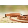 BioThane® obojek pro psy SEADOG - Camel Brown