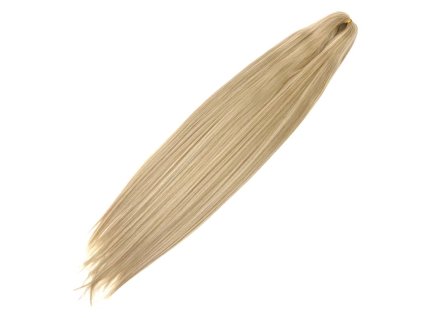 dirty blonde bio