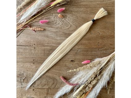 25394 tempimagezygn4e