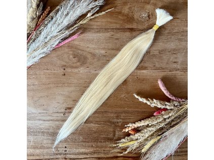 24611 tempimage1qe6vi