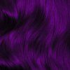 20935 3 plum hair swatch 2048x