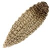 Wavy Kanekalon Ariel 55cm 300gr TT10/24D
