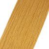 2L9A6000 Cider web