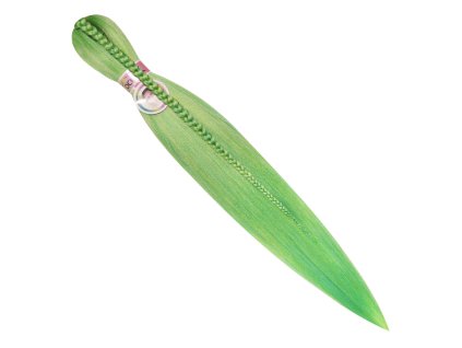 32169 32169 da 10 web final