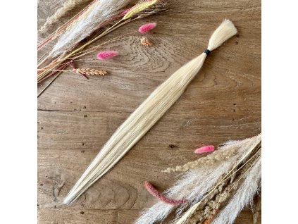 24617 tempimageq2edmb