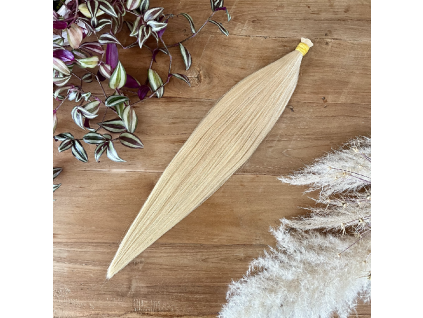 24162 1 tempimagerbafyp