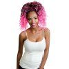 17714 2 hawaii curl 3