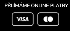 Příjmáme online platby