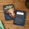 Tri mala prasatka