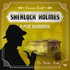 SherlockHolmes PlacNevinnych 2000x2000 nahledovka