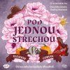 PodJednouStrechou nahledovka 2000x2000
