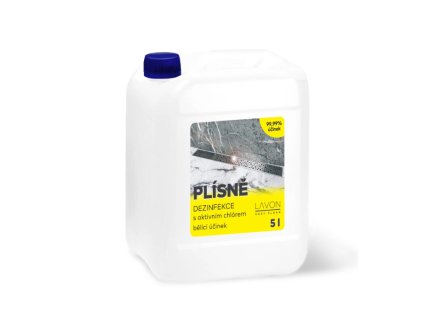 Snímek obrazovky 2026 02 25 154746