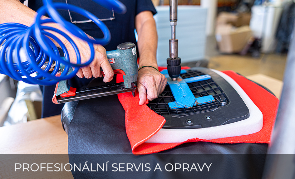 Profesionalni servis