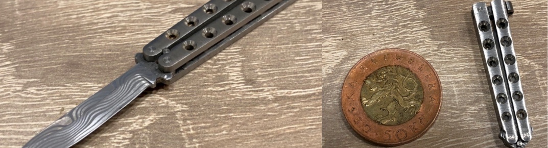 Nejmenší motýlek na světě?