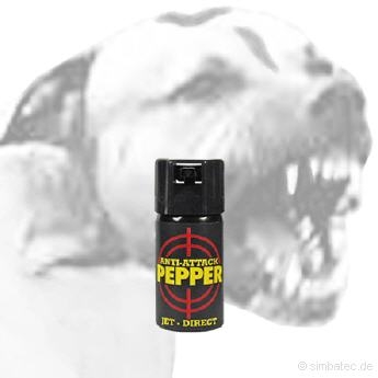 Pepřový spray, typy a použití