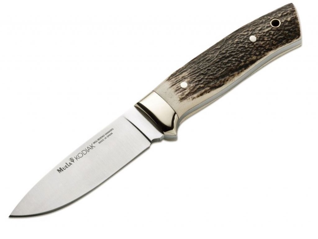 muela kodiak stag