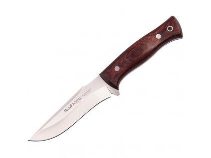 Muela Pointer - wood