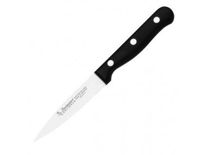 Burgvogel knife kitchen 10cm