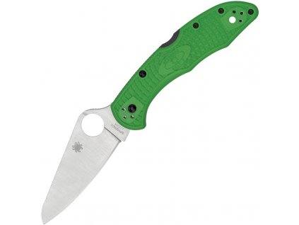 Spyderco Salt 2 Green C88FPGR2