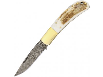 Damascus Lockback Stag Bone