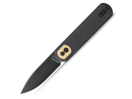 corgi black bksw 1
