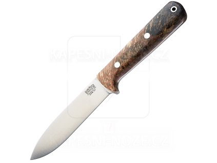 20260225@114018 H7F7931@14d