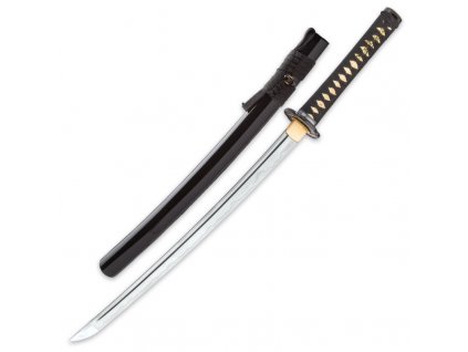 Shikoto Longquan Master Wakizashi Sword