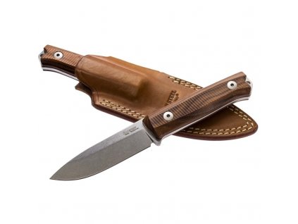 LionSteel B40 ST Santos Wood