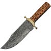 Damascus Chipped Blade Bowie