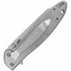 Kershaw Random Leek KS1660R