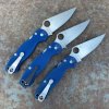 SpydercoPara2CobaltBlueG10ScalesSatinSPY27BladeDeep arryTitaniumClip 800x800