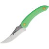 Svord AM Kiwi Fixed Blade Green