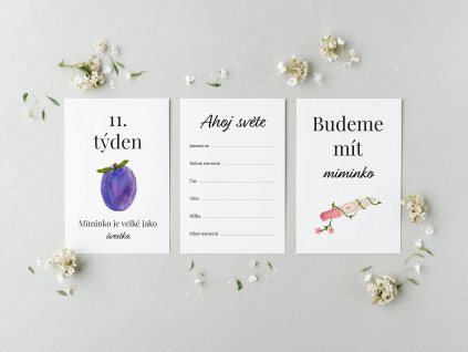 tehotenske-milnikove-karty-kapitolky