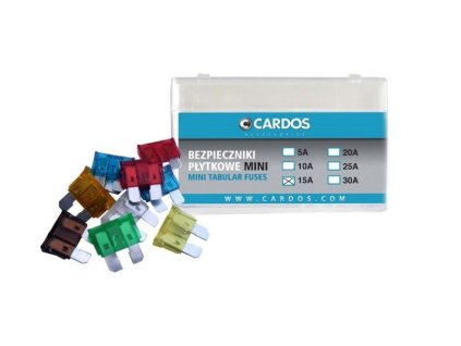 BEZPIECZNIKI MINI 15A