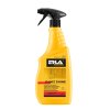 ERLA SANIZ SHINE 750ML