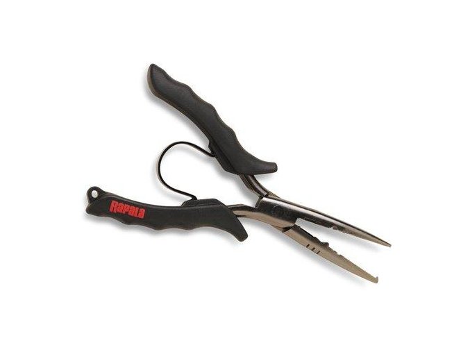 DD9F278A 40C2 4BD9 9865 34E909FA656A RSSP6