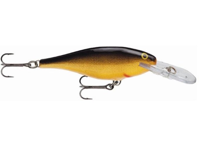 B2D8707E 8381 4B67 9900 8FB4258275F1 SR G