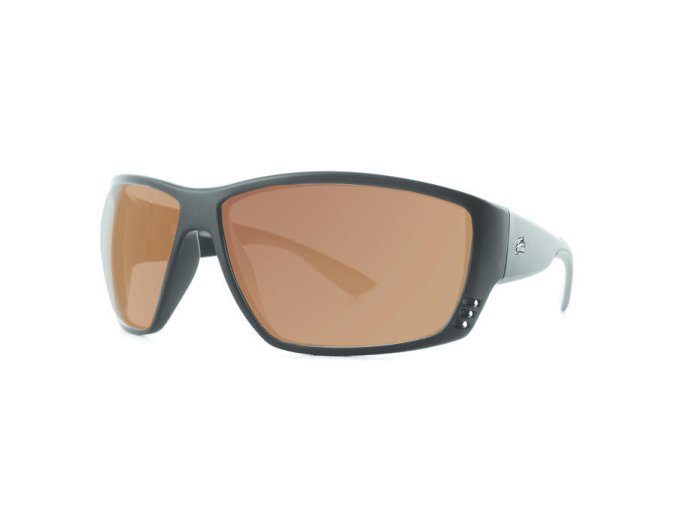 Fortis polarizační brýle Vistas Brown (VA001)