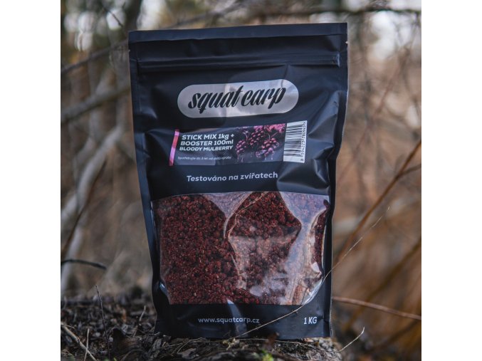 550156184 1491584362079779 5570809038980142072 n