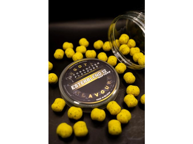 FORGOTTEN FLAVOURS VYVÁŽENÁ NÁSTRAHA Esterblend 12