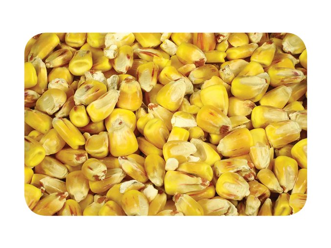 Nikl Kukuřice (Varianta Nikl Kukuřice - 1kg)
