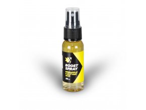 FEEDER EXPERT boost spray 30ml - Butyric Ananas